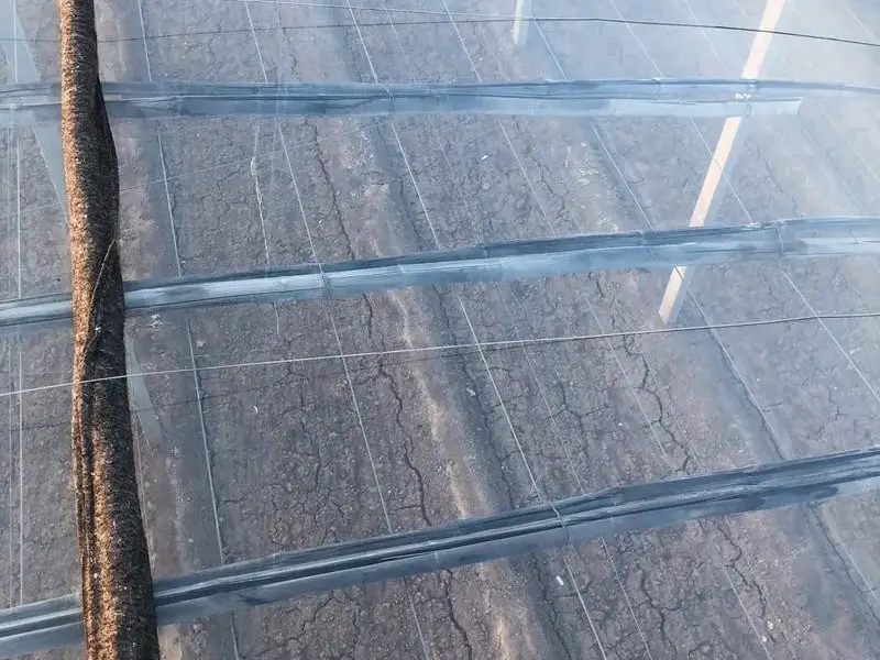 Agricultural industry